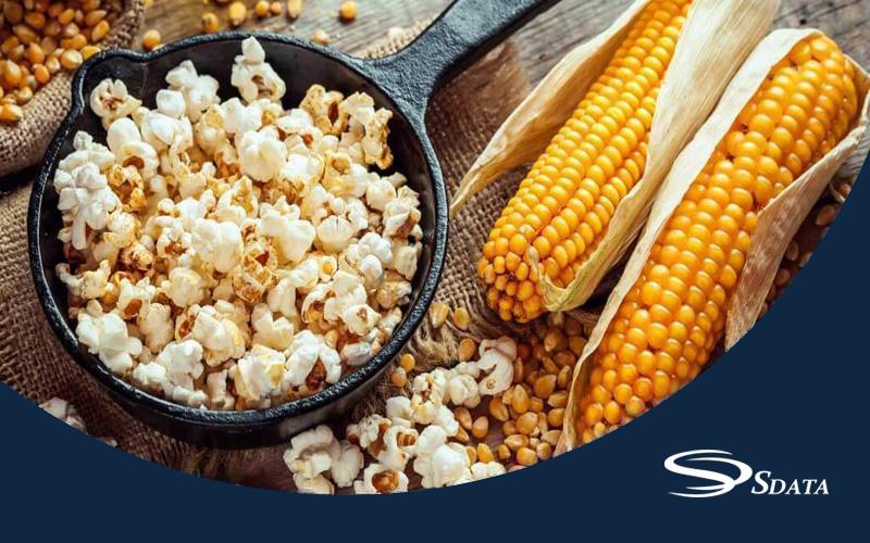 سهم بازار ذرت فرآوری‌شده