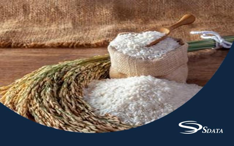 بازار فیبرهای غذایی استخراج‌شده از گندم