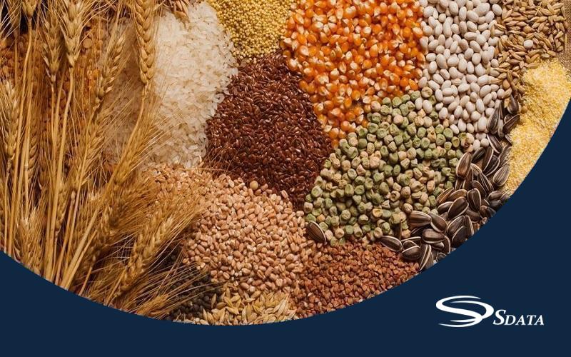 آمار وادرات و صادرات محصولات آردی و پودری (غلات و سبزیجات) در ایران
