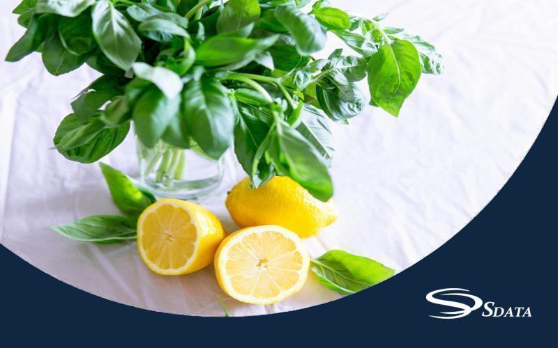 بازار محصولات فرآوری‌شده از لیمو