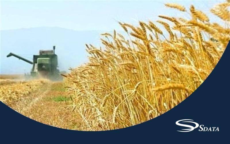 سایز بازار خدمات مکانیزه گندم