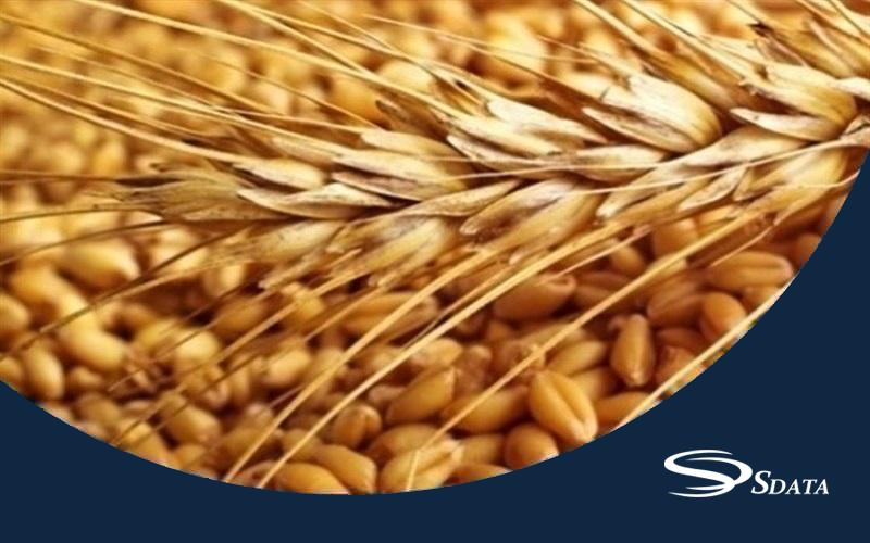 آمار واردات و صادرات غلات در ایران