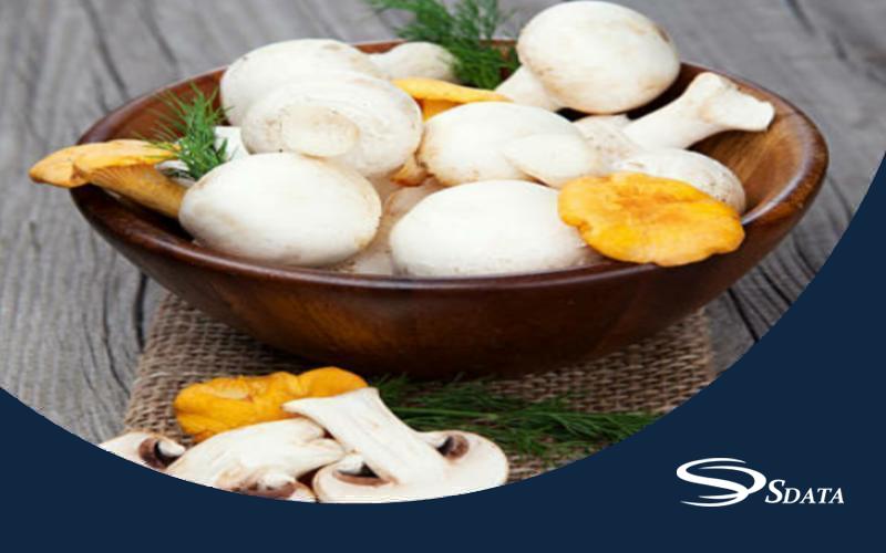 بازار قارچ خوراکی