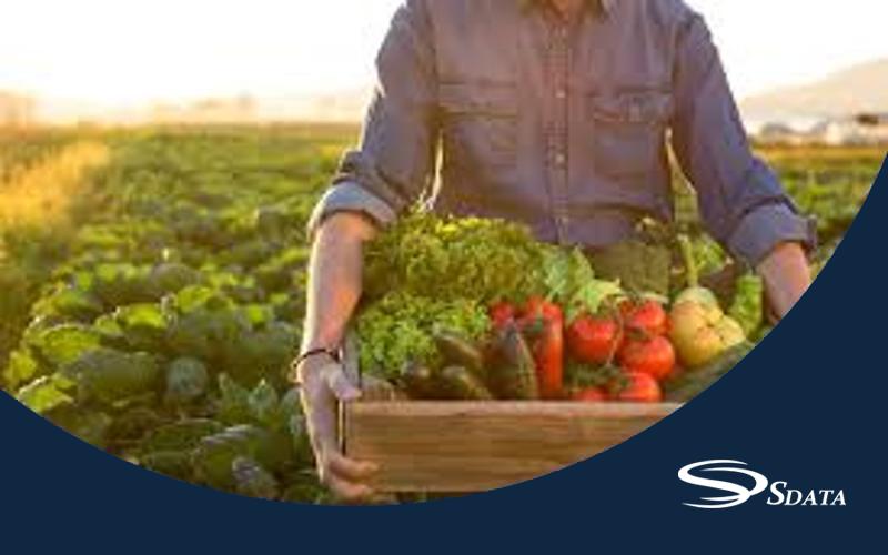 سهم بازار محصولات ارگانیک در سبد مصرف خانوار