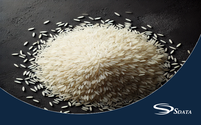 سایز بازار برنج در ایران