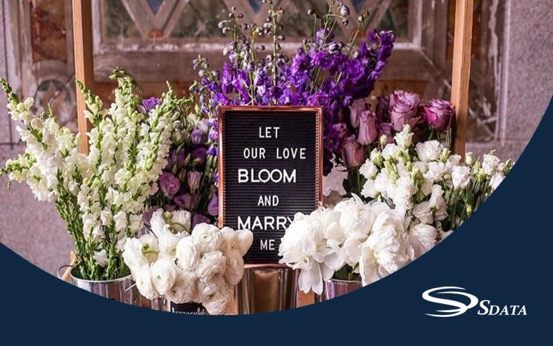 آمار فروش گل و گیاه در ایران و جهان