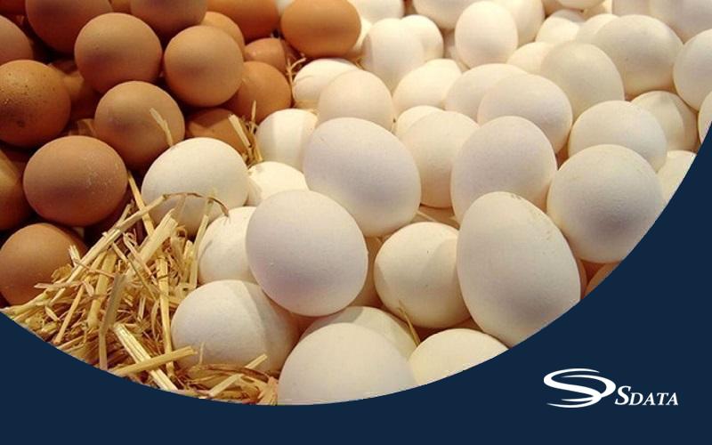آمار واردات و صادرات تخم پرندگان (مرغ، شترمرغ و...) در ایران